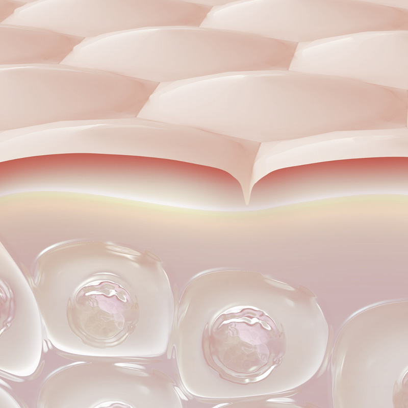Skin4lab-800px-img21